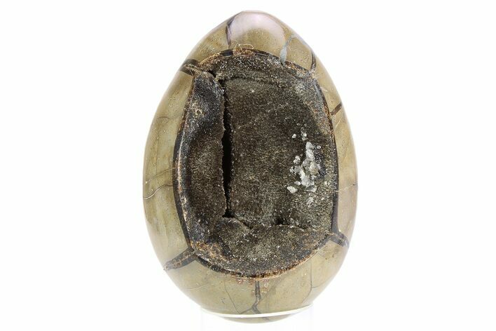 Septarian Dragon Egg Geode - Black Crystals #253754